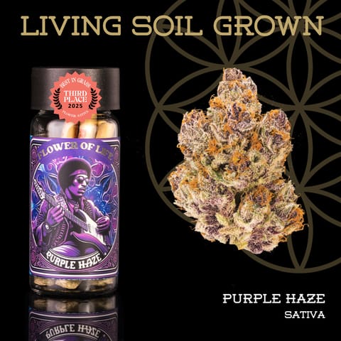 Purple Haze Pre Roll 5pk | Flower of Life