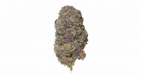 Orangade - 3.5g Bag