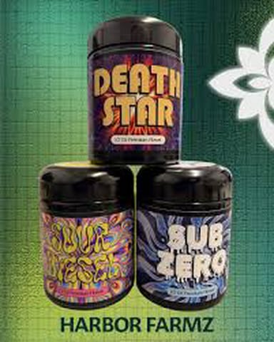 (REC) 1/2 OZ Big Bud Jars - Sub Zero