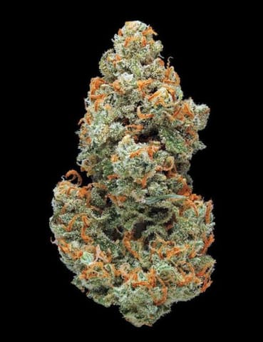 14er - Jack Herer - (S) Flower