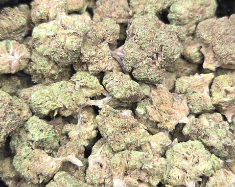 Michelada x Oreoz | 28g Greenhouse