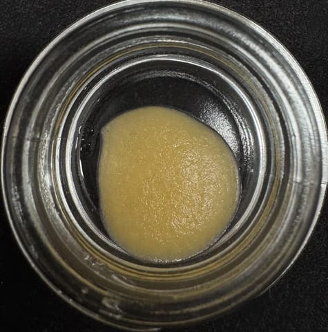 The Unforbidden 1G Dab (Sessions)