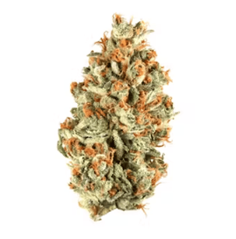 Fruity Bang Bang Deli Flower
