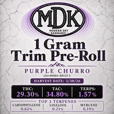 Purple Churro (H)
