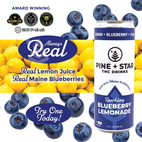 Pine + Star - Blueberry Lemonade 5mg