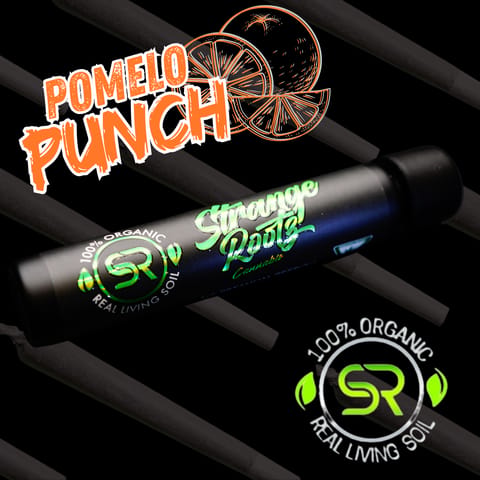 Pomelo Punch (Pre-Rolls)