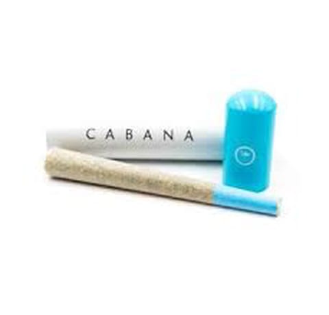 Platinum Candy Mintz 1G Pre Roll (Cabana)
