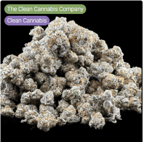Sap Bucket Deli Flower Clean Cannabis