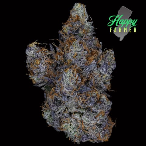 Candied Garlic (3.5g) - Candied Garlic 3.5g