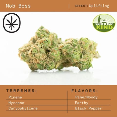 Apothecare Certified Organic Mob Boss