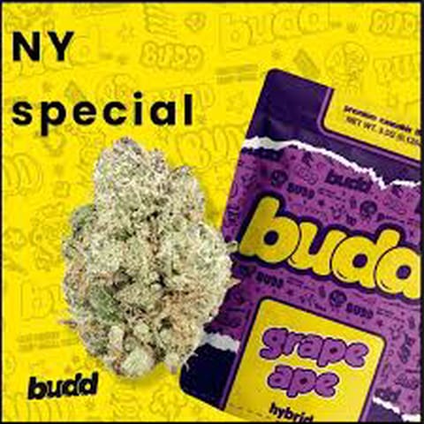 Budd - Grape Ape | 3.5G Flower