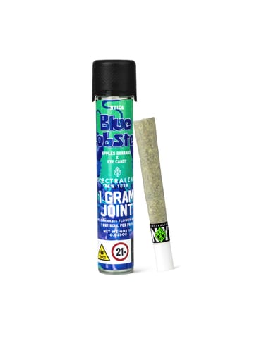 Blue Lobster - 1g Pre-Roll