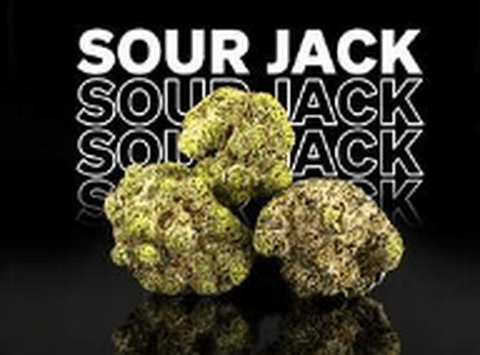 Cypress Flower Sour Jack Sativa, 3.5G