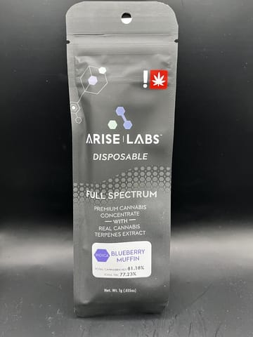 Arise | Blueberry Muffin All-In-One Distillate Vape | 1g