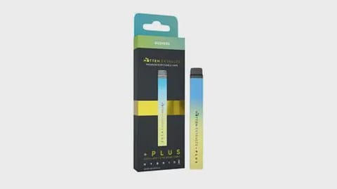 Mitten Extracts +PLUS 1G Disposable Vape - Mitten Extracts | Vapor Pen | All-in-one-Disposable | + Plus | Distillate | 1g | Gushers | Hybrid
