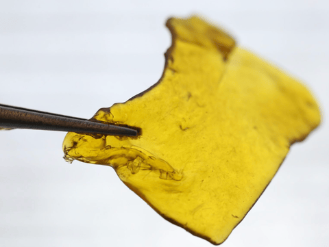 Cured Shatter | 1g | Sativa Hybrid | Green Crack
