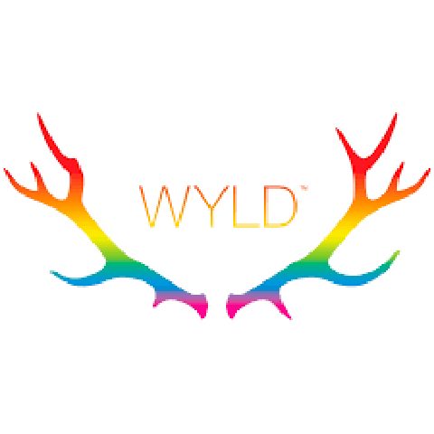 WYLD Grapefruit Gummies 1:1:1 10pk
