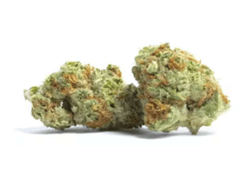 Papaya Crush Deli Flower New Blondies