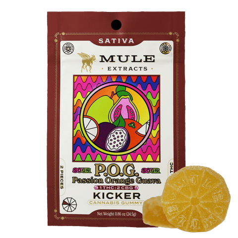 Mule Kicker Gummies | Sour POG CBG 1:2 Kicker 2 Pack 100mg