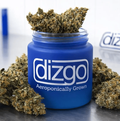 Eighth Ounce Jar Dried Flower-IX | Dizgo Collective | Orion | 3.5g