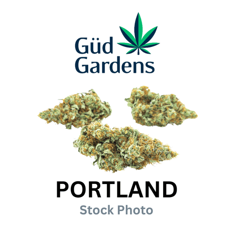 Gud Gardens | Gud Day Preroll 6-Pack 4.8g - 4.8g - Pre-Roll