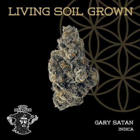 Gary Satan - Flower Of Life - (5x .5G) Multi-Pack Pre-Roll - Indica -2.5G**