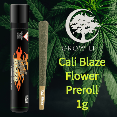 Cali Blaze Pre-Roll Blue Dream 1g (REC)