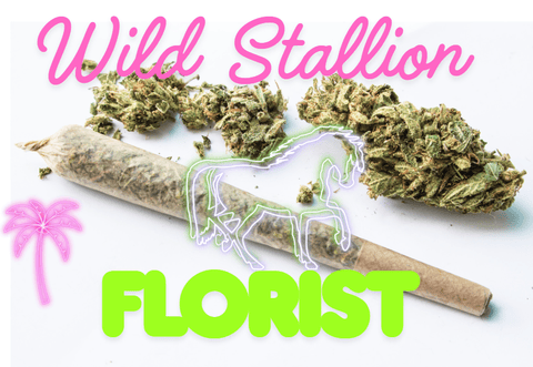 Wild Stallion Flower Florist