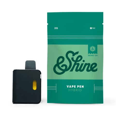 Disposable | 2g | Hybrid | Apple Fritter
