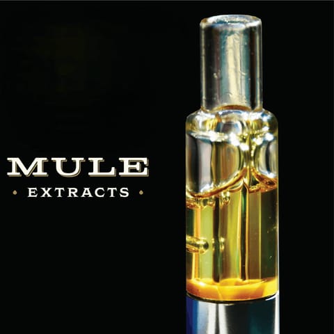 Mule Live Resin Glass Cartridge | Thai Mint Sativa 1g