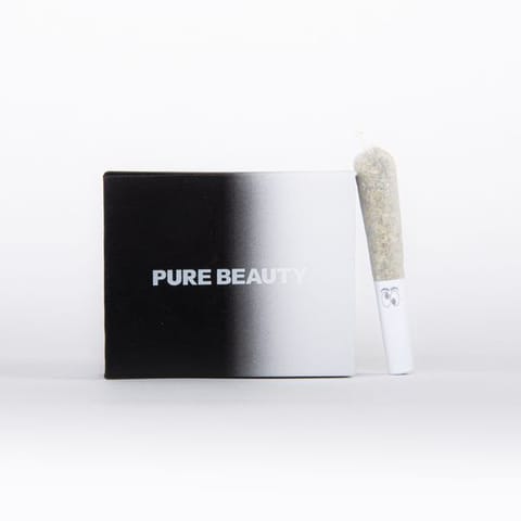 PURE BEAUTY - INFUSED PREROLL MULTIPACK - BLACK BOX - 2G