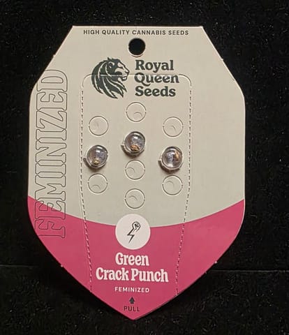 Feminized Seeds - Green Crack Punch 3 Seed FEM