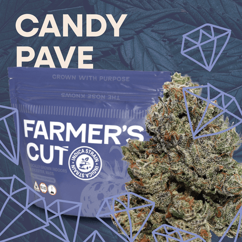 Flower | 3.5 | Indica | Candy Pave