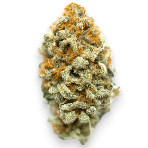 GMO Cookies Overstock - 7g
