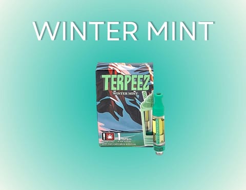 Winter Mint 1g Cartridge (Terpeez)