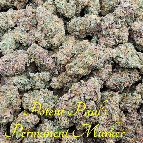 Potent Paul's Permanent Marker (0.5g) Single by Scorpion Grass