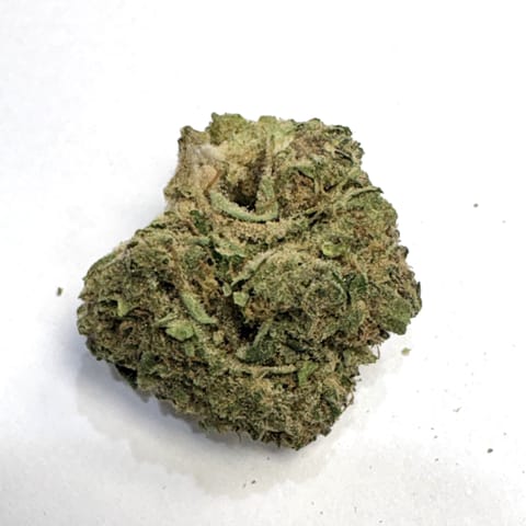 Block Berry (Wicked Flower Farms)