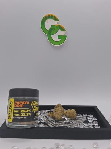 Papaya Drip 3.5G Flower HHoney