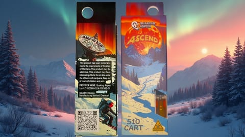 Zour Patch 0.5g