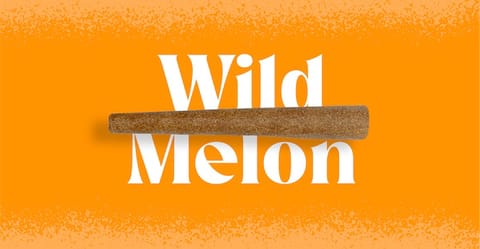 Doinks Infused Blunt | Wild Melon 1g Med