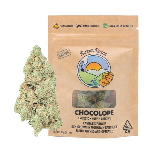 Burr's Place | Chocolope (S) | 3.5g Sungrown Flower