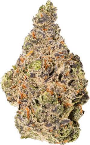 (REC) Kenny Flowers - 28g