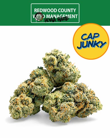 Cap Junky | 3.5gm