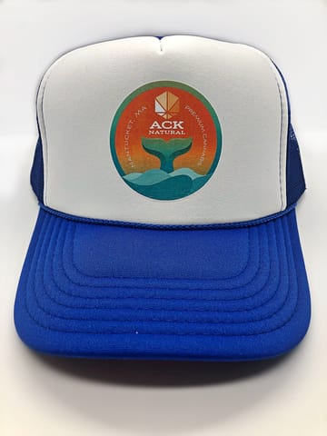 Whale Trucker Hat Bright Blue