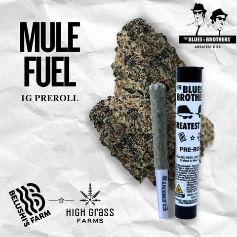Mule Fuel - Pre-Roll (1.0g)
