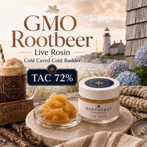 Gmo Rootbeer Live Rosin - 1G