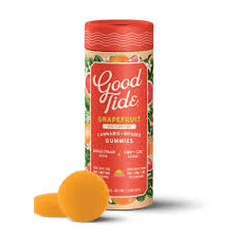 Good Tide Grapefruit 100MG Gummy (Wyld)
