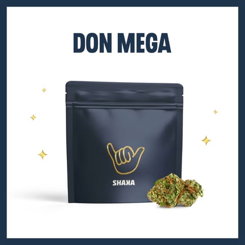 Don Mega