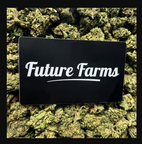 Scary Cherries (Future Farms)