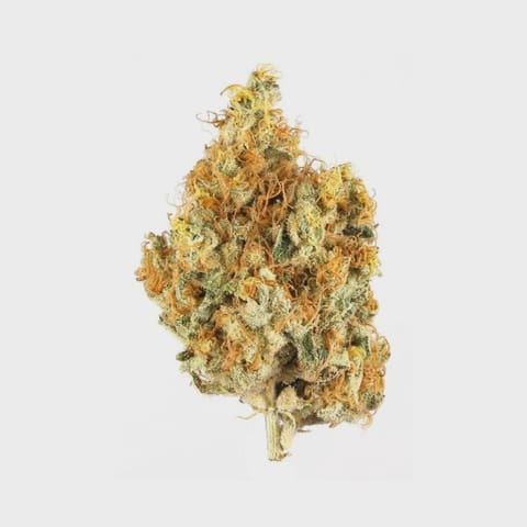 Green Diesel - Flower - Premium